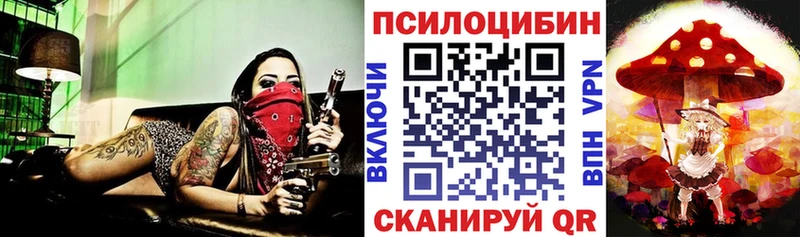 наркошоп  Курильск  omg зеркало  Псилоцибиновые грибы мицелий 