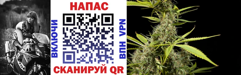 МАРИХУАНА MAZAR  магазин продажи наркотиков  Курильск 